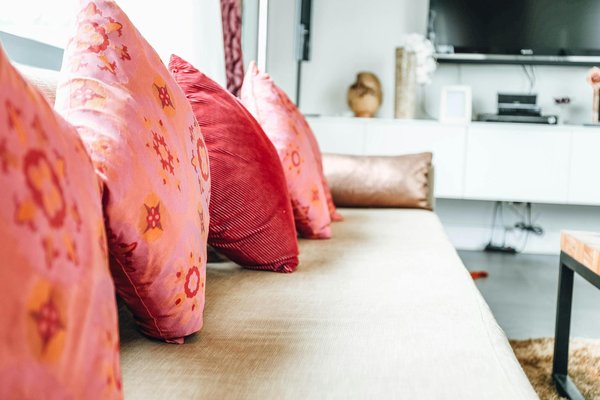 Debunking pet care myths: essential misconceptions you need to dismiss