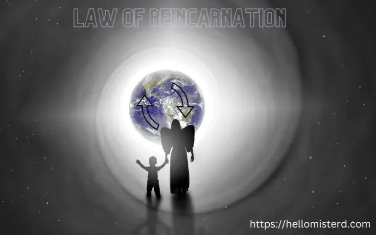 The Ever-Revolving Tapestry: Law of Reincarnation Raw