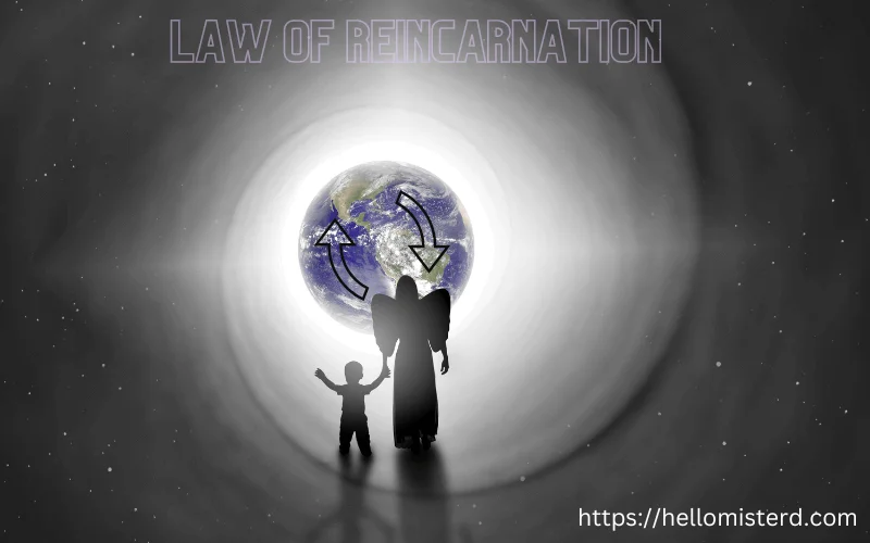 Law Of reincarnation Raw